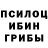 Галлюциногенные грибы Magic Shrooms Jurvay