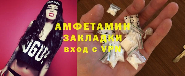 шишки Ростов