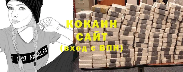стафф Аркадак